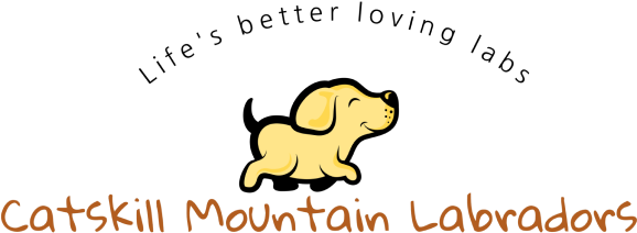 Catskill Mountain Labradors