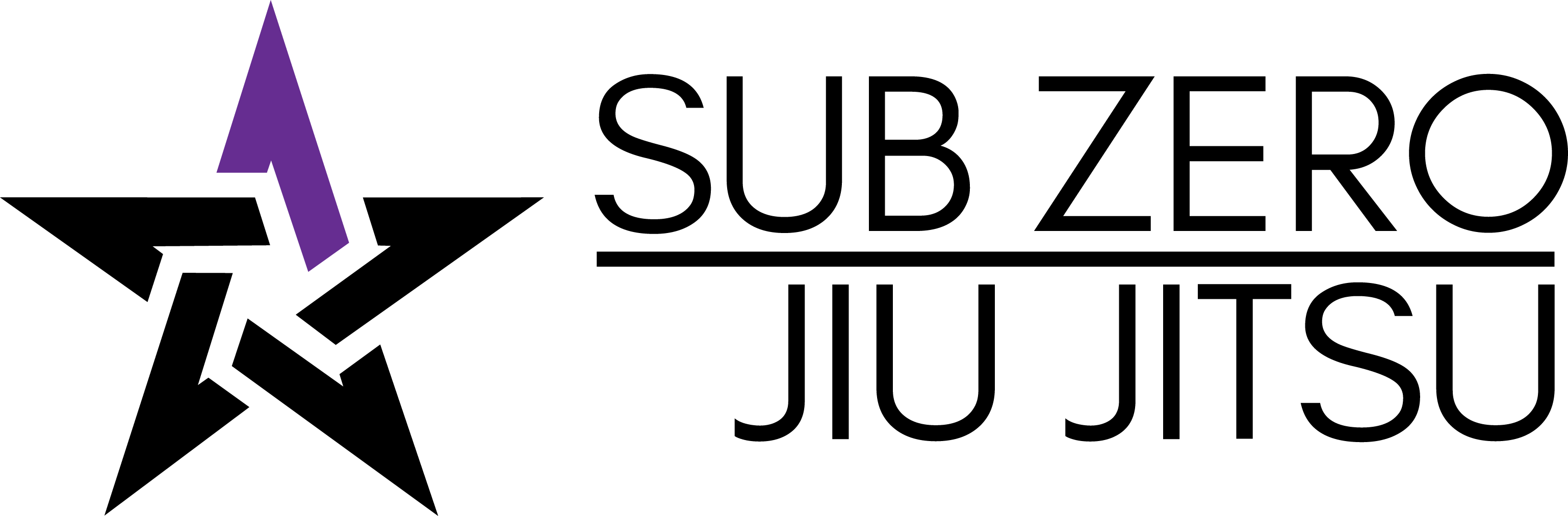 Sub Zero Martial Arts