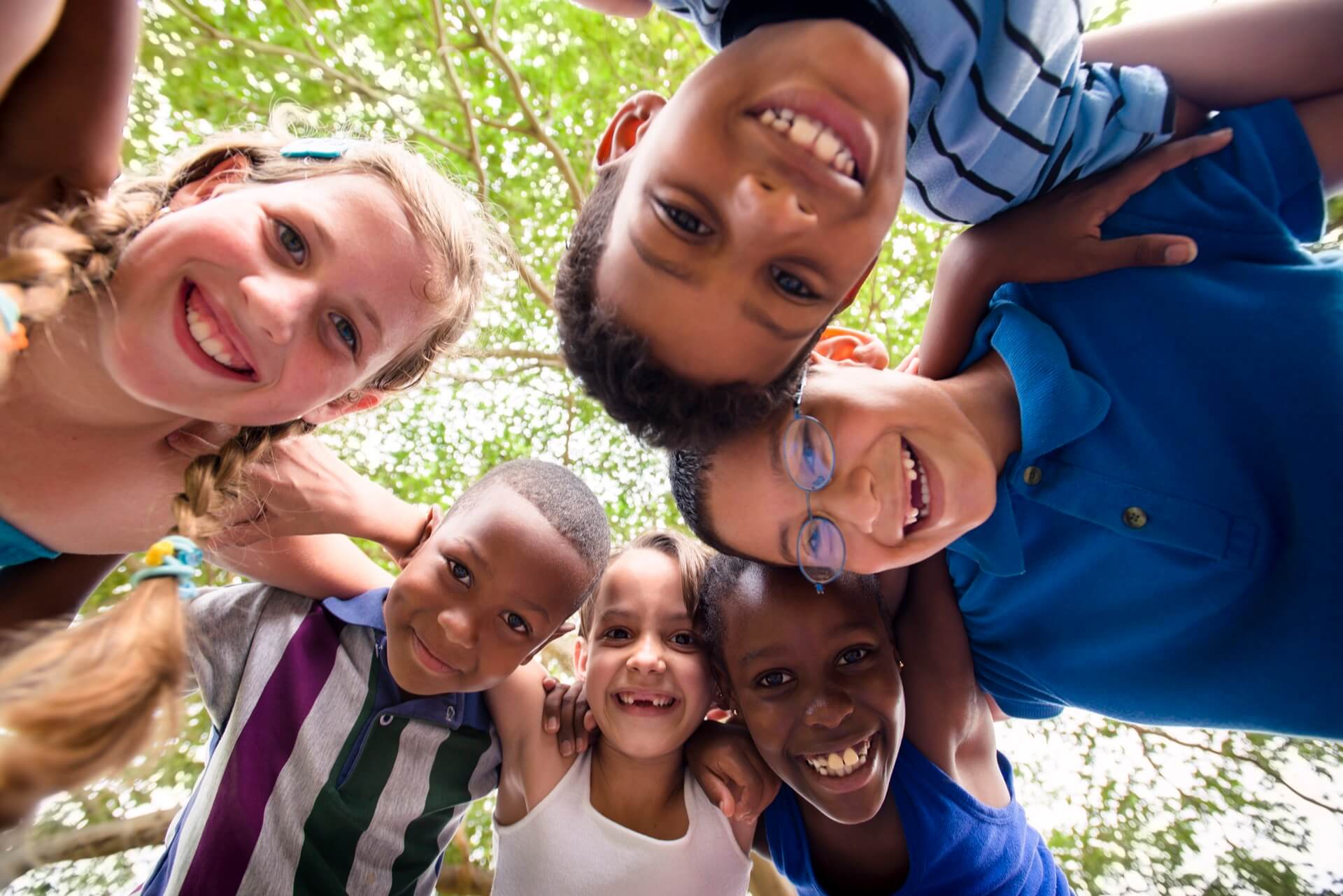 wordpress development for a non profit organization