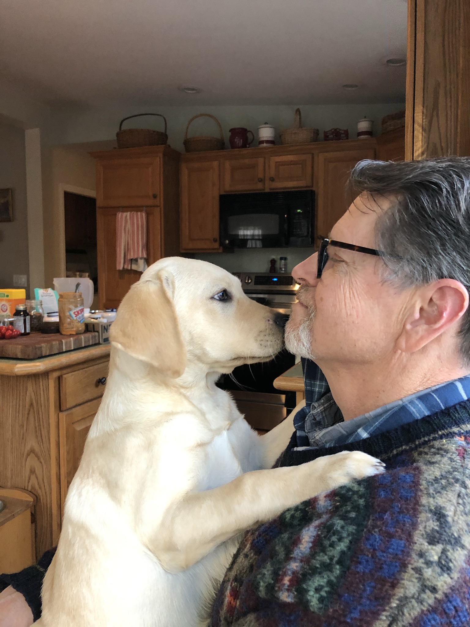 Ross Gill kissing a puppy in Albany NY, business owner and wordpress website owner