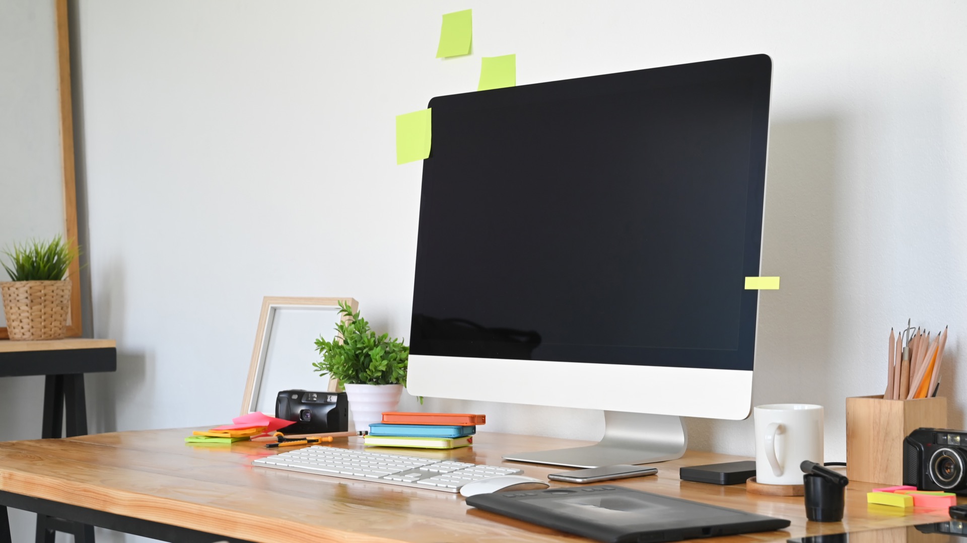 WordPress maintenance services for San Diego