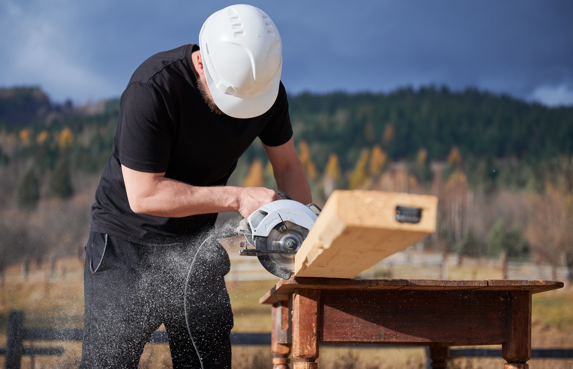 Successful WordPress website launch for Lititz company