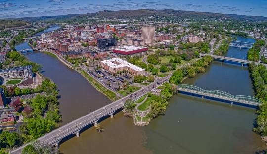 wordpress web design in binghamton